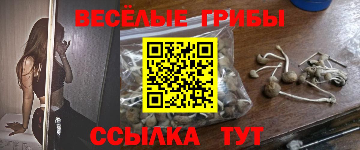 Сердобск  купить наркоту  Вход с VPN  Галлюциногенные грибы Psilocybe 